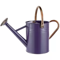 WSP 1 Gallon Watering Can w/ Copper Accents Deep Violet
