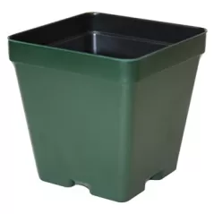 T. O. Plastics 04.50 Sq Pot Square Vacuum Traditional450 Green 375 Per Case Minimum Order Quantity Needed 84/Cs 700090C