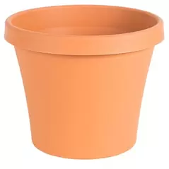 Bloem 6" TerraPot Terra Cotta