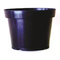 Belden 8.5" Azalea Black 100/cs