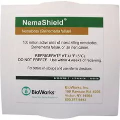 BioWorks NemaShield 100 Mil Pack (Direct) Steinernema feltia (2 packs of 50 mil each) (Fungus gnat, Shorefly, Thrips )