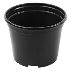 Grower Select 06.00 Coex Azalea Round Pot Black 660/CS