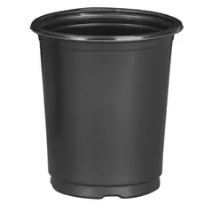 DLN 01.00QT PER TL TAG SLOT COEX Black 432/CS 33CS/PL