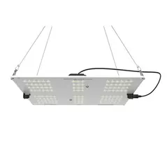 HLG 65V2 Lamp 20 Samsung Fixture - 1 Each