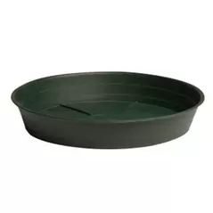 HDF 12" Green Saucer