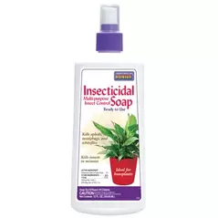 Bonide 12oz Insecticidal Soap Houseplant
