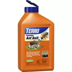 Terro 2