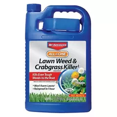 BioAdv 1gal All-in-One Lawn Weed Crabgrass Concentrate