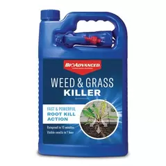 BioAdv 1Gal Weed & Grass Killer RTU