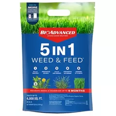 BioAdv 9.6