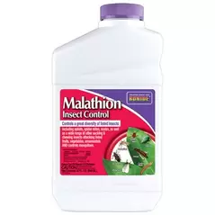 Bonide Qt Malathion 50E Concentrate