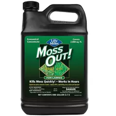 Lilly Miller 1gal Moss Out Lawns