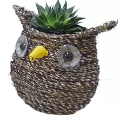 Gardener Select 7" Small Owl Rattan Rope Topiary 12/CS