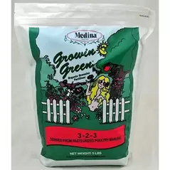 Medina 5