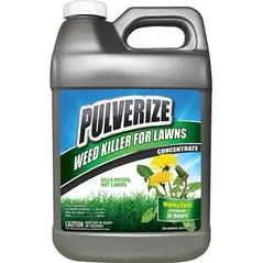 Pulverize 2.5gal Weed Killer Lawn Killer Liquid Concentrate