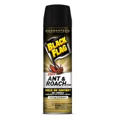 Black Flag Dry Ant & Roach 17.5oz