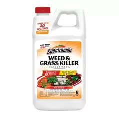 Spectracide 64oz Concentrate Weed & Grass Killer