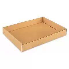Gardener Select 9"x6"x2" Cardboard Carry Tray (3000/PL)