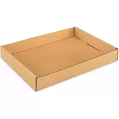 Gardener Select 18"x12"x2" Cardboard Carry Tray (1200/PL)