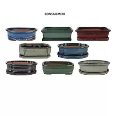 MCarr 8PC 8" Bonsai Planter Mixed Asst