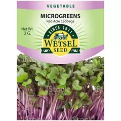 Microgreens, Red Acre Cabbage - 2 Gram