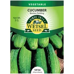 Cucumber, Boston Pickling - 3 Gram