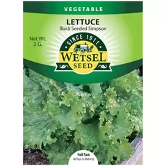 LETTUCE, BLK SEED SIMPSOM 3 G.