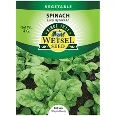 Spinach, Early Hybrid