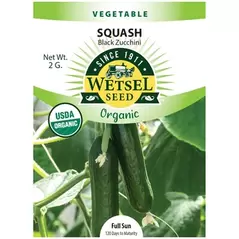 Organic Black Zucchini Squash - 2 Gram