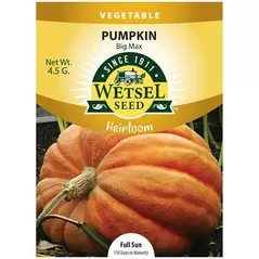 HEIRLOOM, PUMPKIN BIG MAX 4.5G