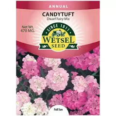 CANDYTUFT,DWF FAIRY MIX 470 MG