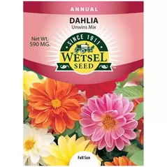 DAHLIA, UNWINS MIX 590 MG