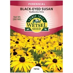 DAISY, RUDBECKIA HIRTA 280 MG