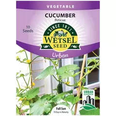 Cucumber, Peticue (patio) - 10 Seeds