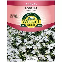 LOBELIA, WHITE LADY 175 MG