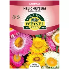 HELICHRYSUM, TALL DB MX 280 MG
