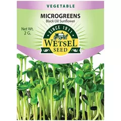 Microgreens, Black Oil Sunflower - 2 Gram