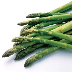 Asparagus, Jersey Knight - 25/Bundle