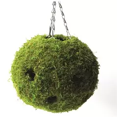 SuperMoss 12" Woven Moss Ball Planter