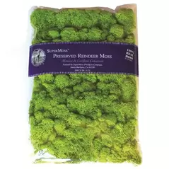 SuperMoss 8oz Reindeer Moss Chartreuse