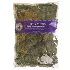 SuperMoss 8oz Reindeer Moss Forest Green