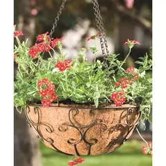 Panacea 14" Cameo Series Hanging Basket