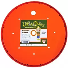 Bloem 16" Ups A Daisy