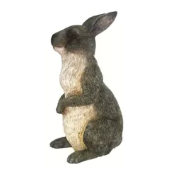 MCarr Peter Rabbit Gray