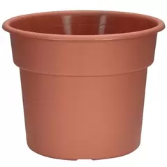 DLN 12.00 COLOR POT 2 TL CL 40/CS 32CS/PL