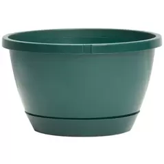 DLN 10.00 TRAD 2 WS HB NO HGR 300GN 50/CS 36CS/PL