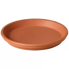 Deroma 9.8" Saucer Terra Cotta Clay Case Pack