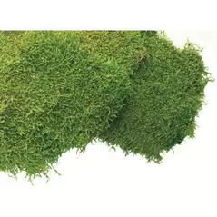 SuperMoss 1560cu in Bulk Sheet Moss Fresh Green (Covers 16-18sq ft)
