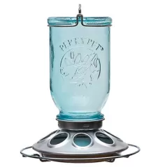 Perky Pet Mason Jar Seed Feeder