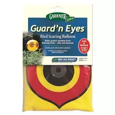 Dalen 2' Diameter Guard'N Eyes Bird Scare Balloon